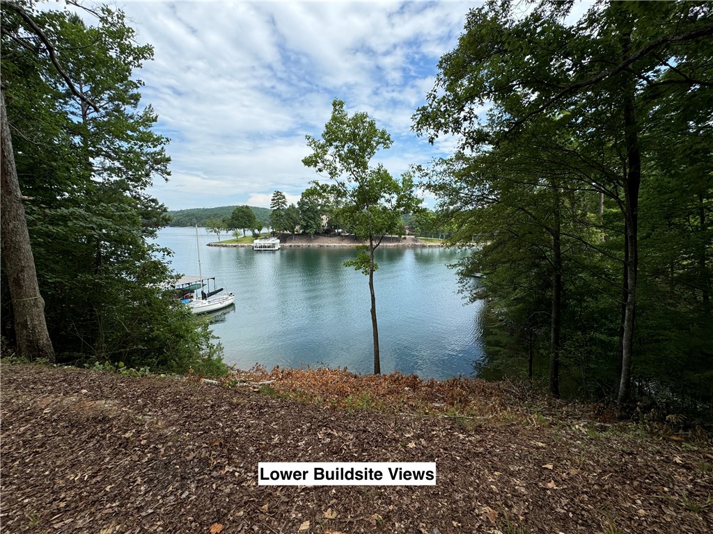 116 Yellowbear Way, Unit 66 Sunset, SC 29685 - Photo 5 of 18 Gallery Image 5