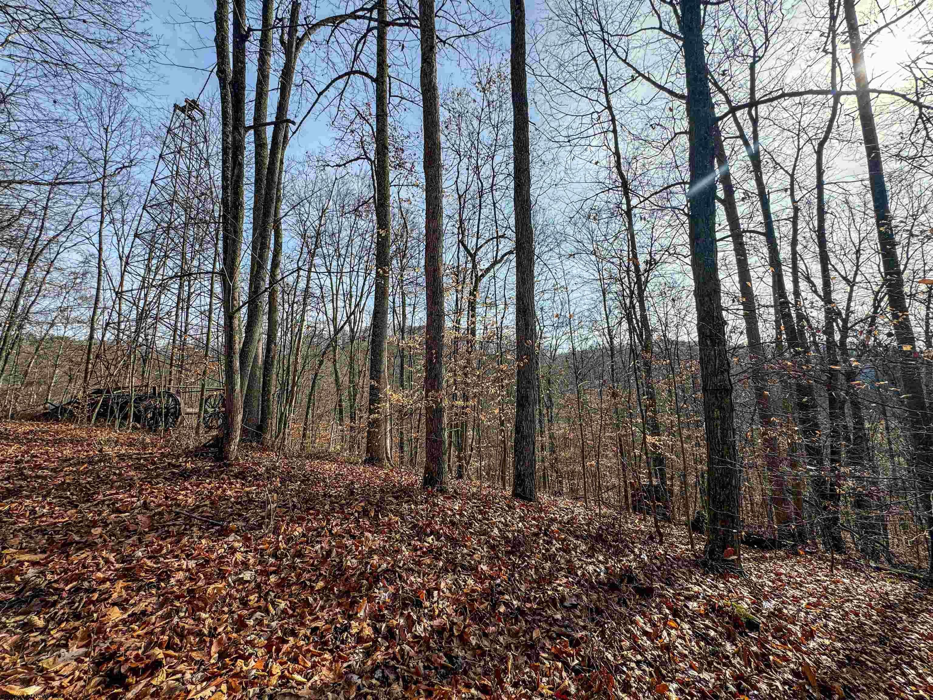 797 Big Elk Road Wallace, WV 26448 - Photo 7 of 46 Gallery Image 7