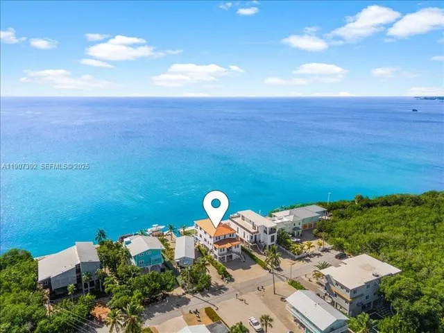 an aerial view of a house with a garden