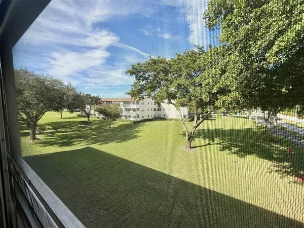 a big yard with lots of trees