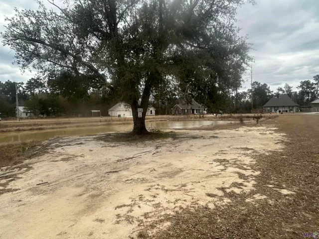 $20,000 | 31618 Ferina Lane, Albany, LA 70711