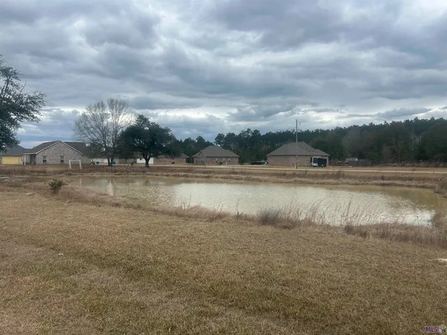 $20,000 | 31618 Ferina Lane, Albany, LA 70711
