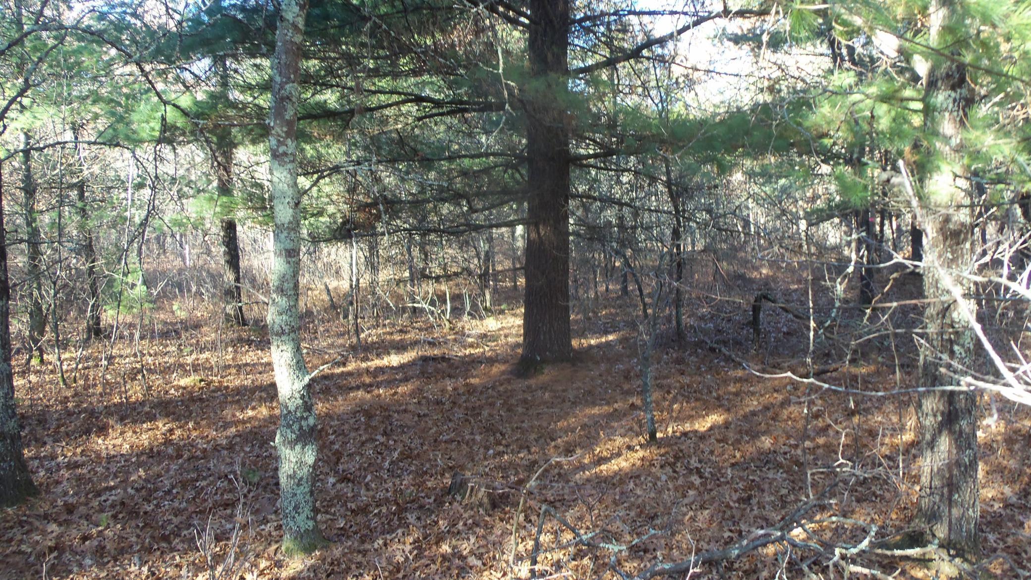 Lot 5 McLain Road Grantsburg, WI 54840 - Photo 11 of 13