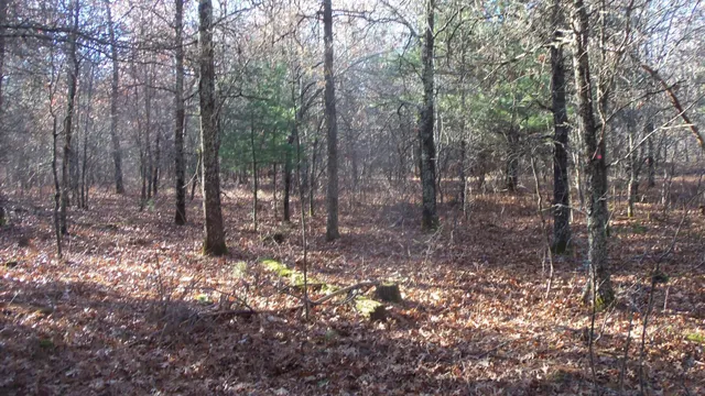 $64,900 | Lot 5 McLain Road, Grantsburg, WI 54840