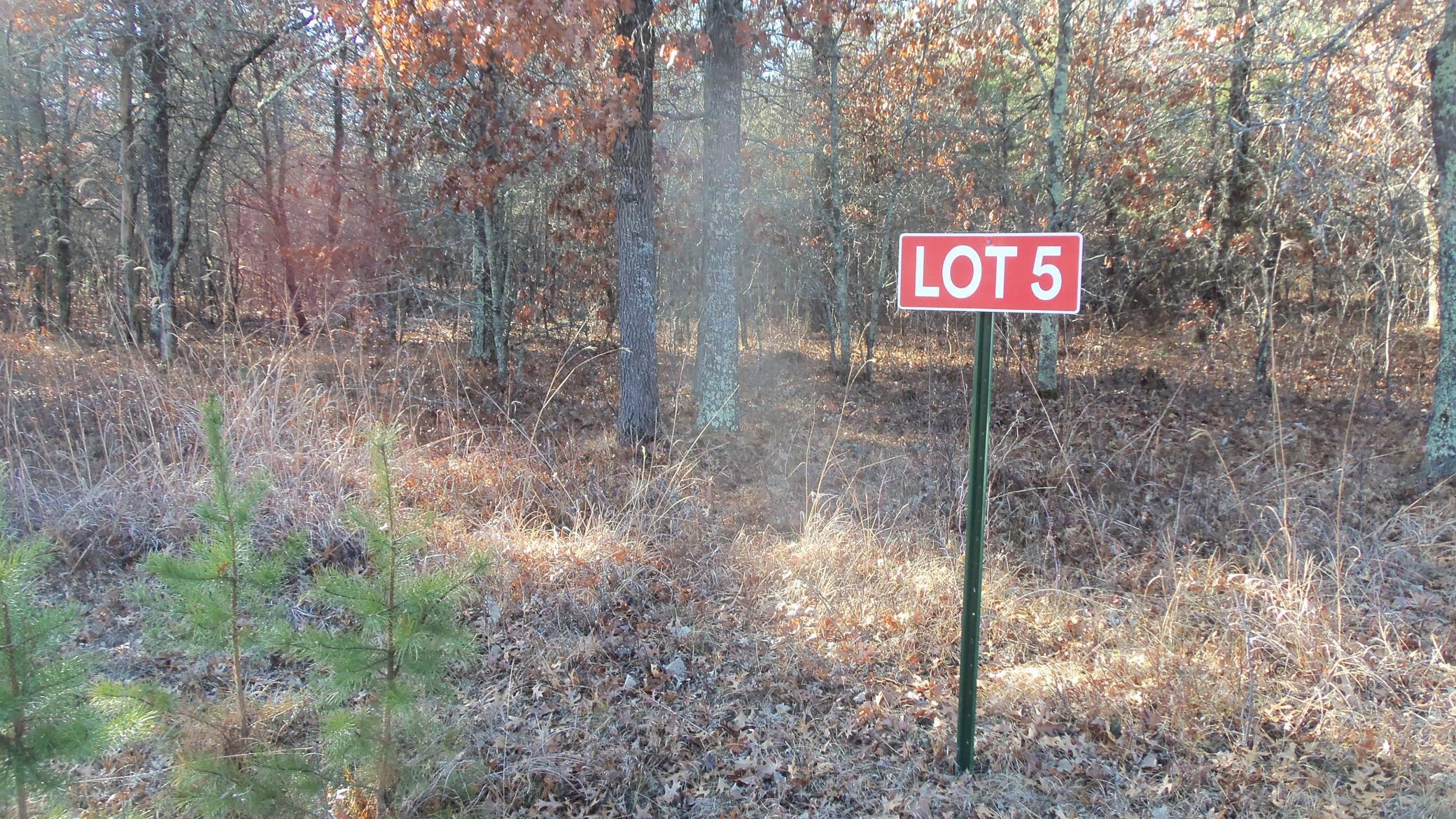 Lot 5 McLain Road Grantsburg, WI 54840 - Photo 2 of 13