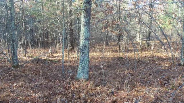 $64,900 | Lot 5 McLain Road, Grantsburg, WI 54840