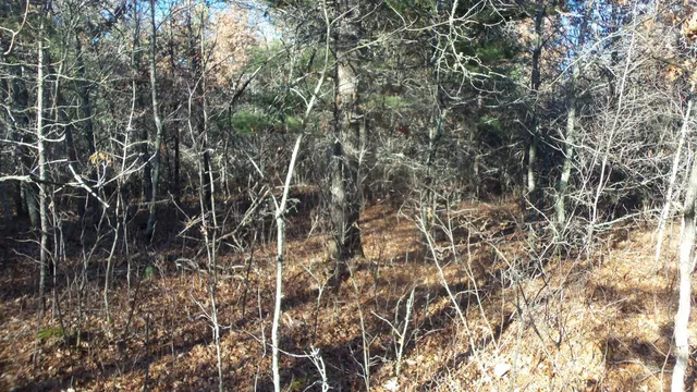 $64,900 | Lot 5 McLain Road, Grantsburg, WI 54840