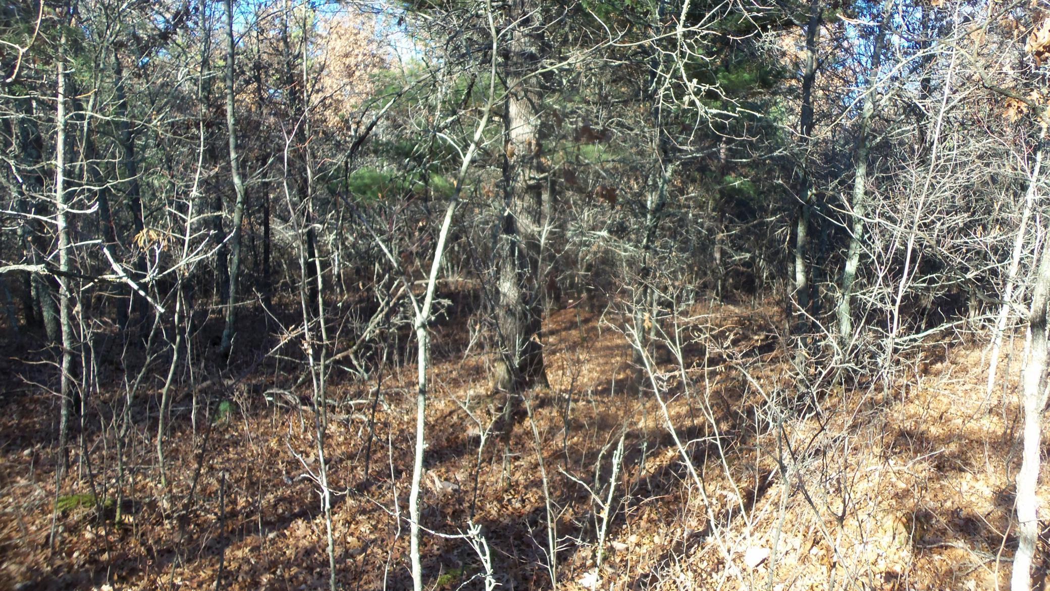 Lot 5 McLain Road Grantsburg, WI 54840 - Photo 5 of 13