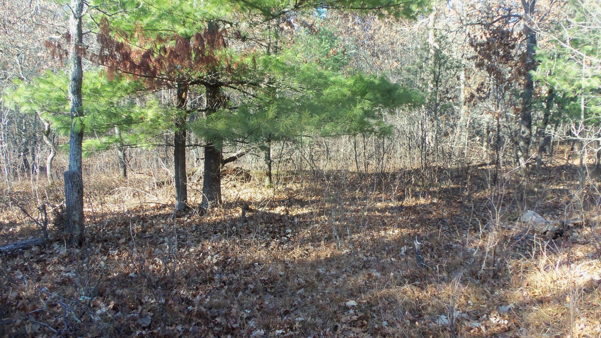 Lot 5 McLain Road Grantsburg, WI 54840 - Photo 7 of 13