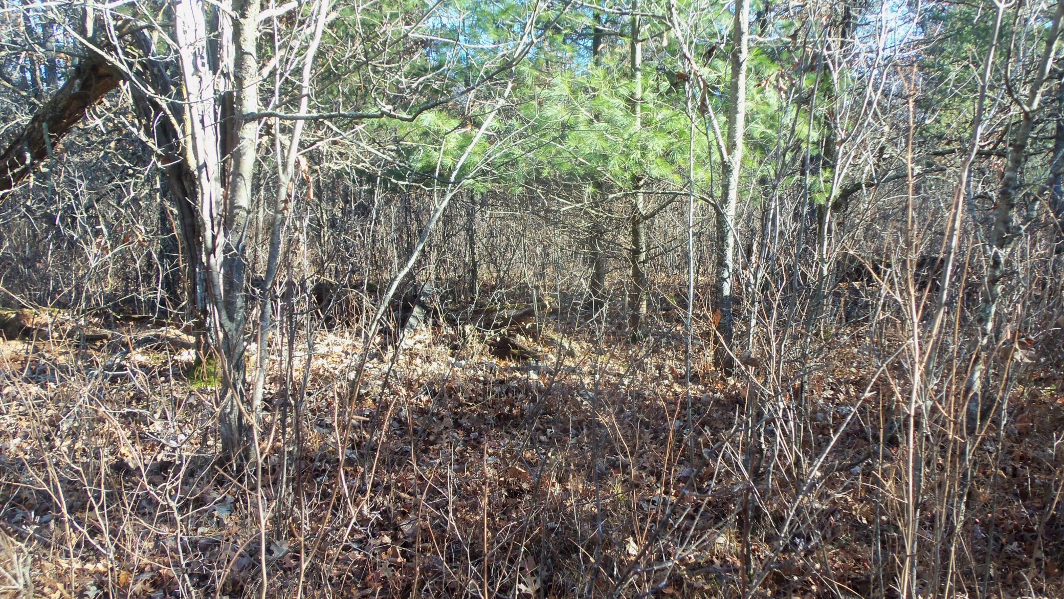 Lot 5 McLain Road Grantsburg, WI 54840 - Photo 8 of 13