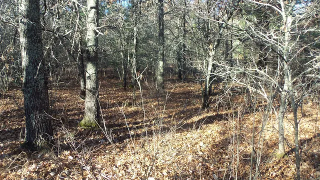 $64,900 | Lot 5 McLain Road, Grantsburg, WI 54840