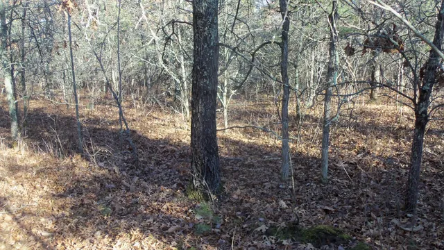 $64,900 | Lot 5 McLain Road, Grantsburg, WI 54840