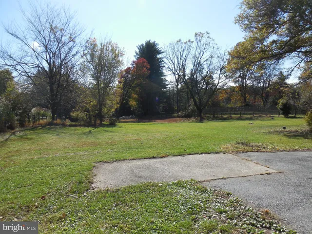 a view of a park with large trees