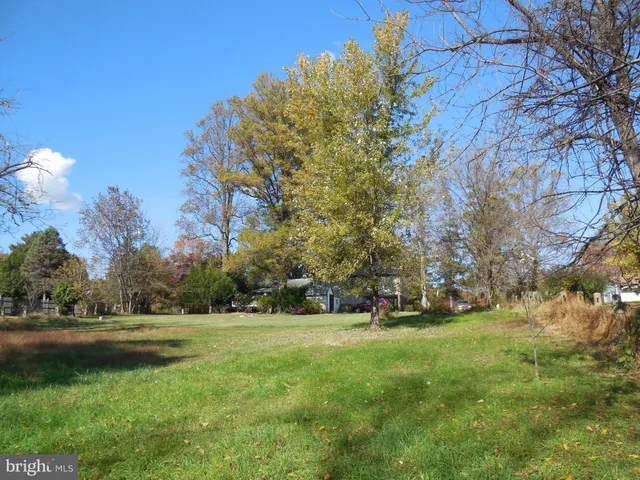 a view of green field