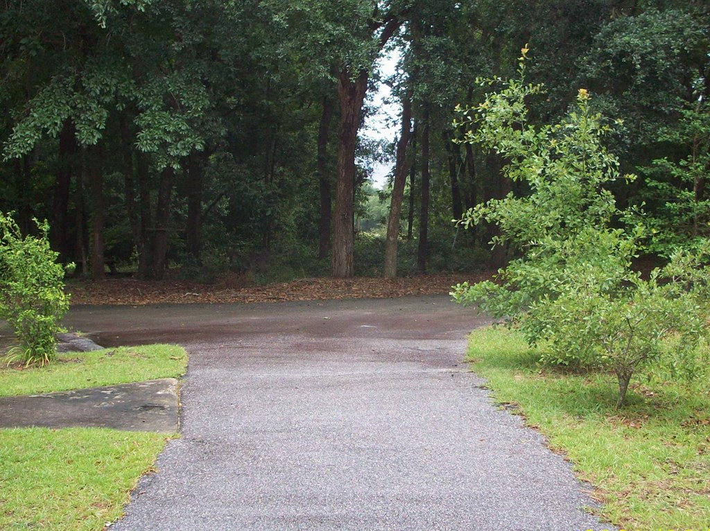 3905 Ardis Pond Road Dalzell, SC 29040 - Photo 31 of 34 Gallery Image 31