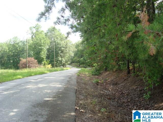 Evans Road Piedmont, AL 36272 - Photo 3 of 8