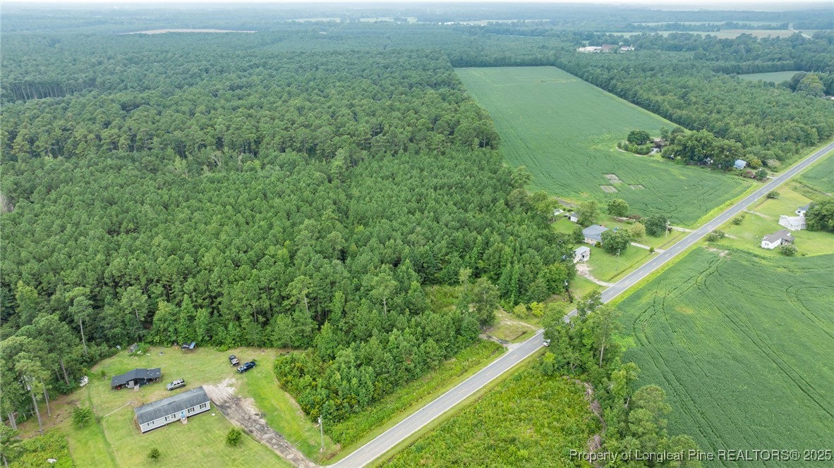 3045 Bridgers Road Rowland, NC 28383 - Photo 4 of 18 Gallery Image 4
