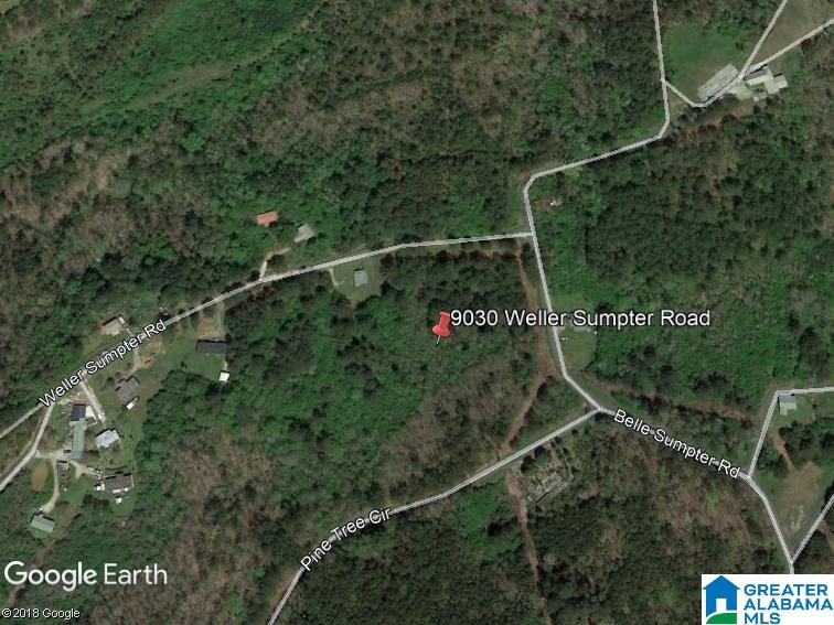9030 Weller Sumpter Road, Unit 8 1ACRES Adger, AL 35006 - Photo 1 of 3