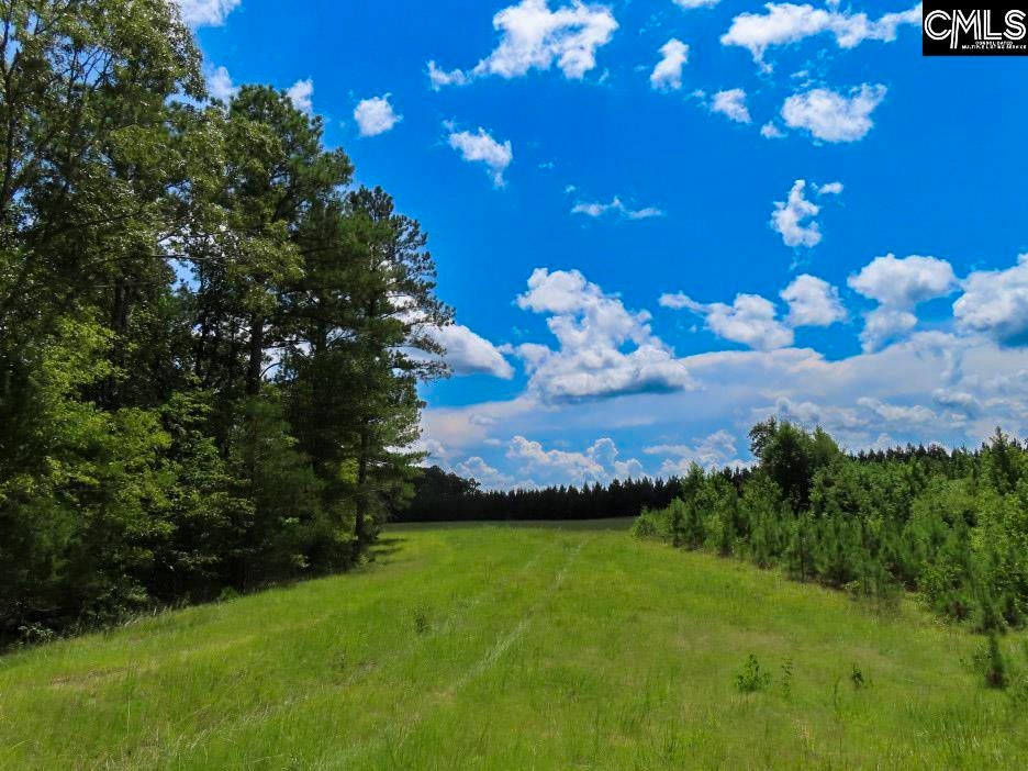 529 Martin Road Winnsboro, SC 29180 - Photo 75 of 83 Gallery Image 75