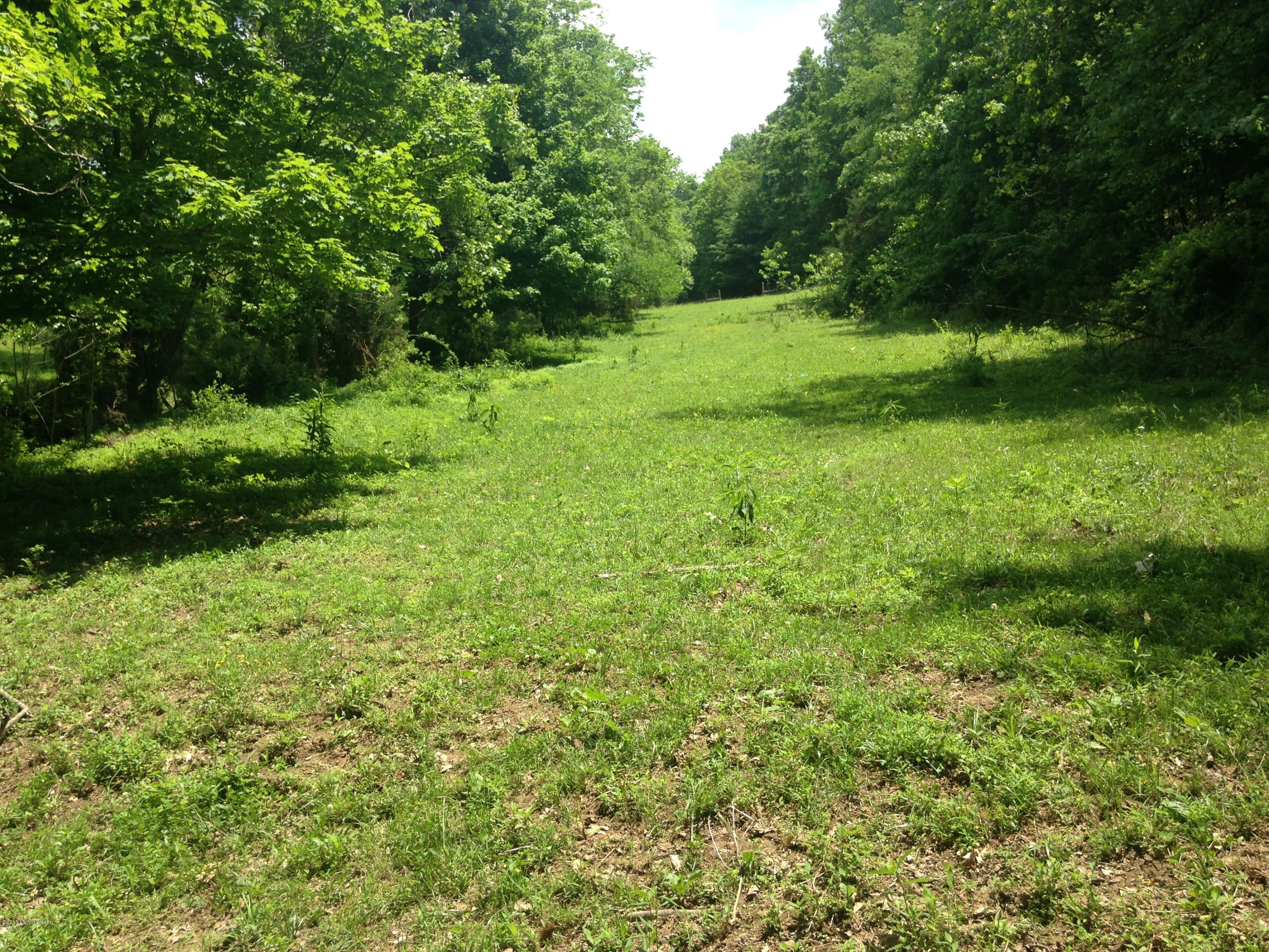 1050 Cedar Flat Curtis Road Edmonton, KY 42129 - Photo 7 of 28 6