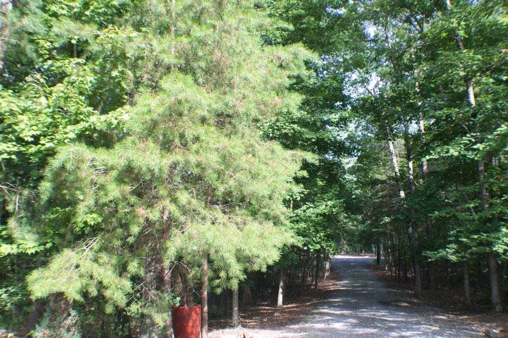 568 Stewart Lane Rising Fawn, GA 30738 - Photo 57 of 60