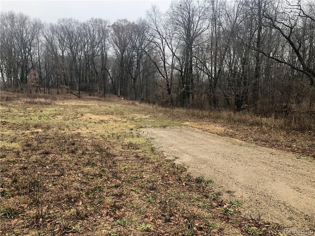 Parcel 7 Elevation Lane Howell, MI 48855 - Photo 2 of 8