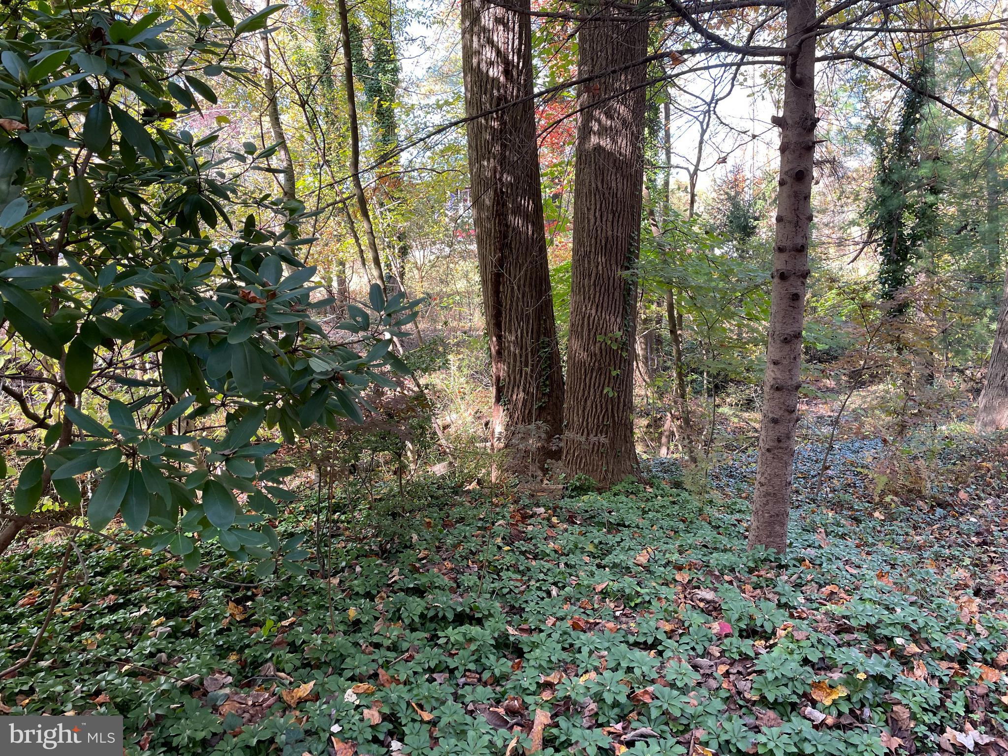 1917 Crouse Road Forest Hill, MD 21050 - Photo 5 of 68