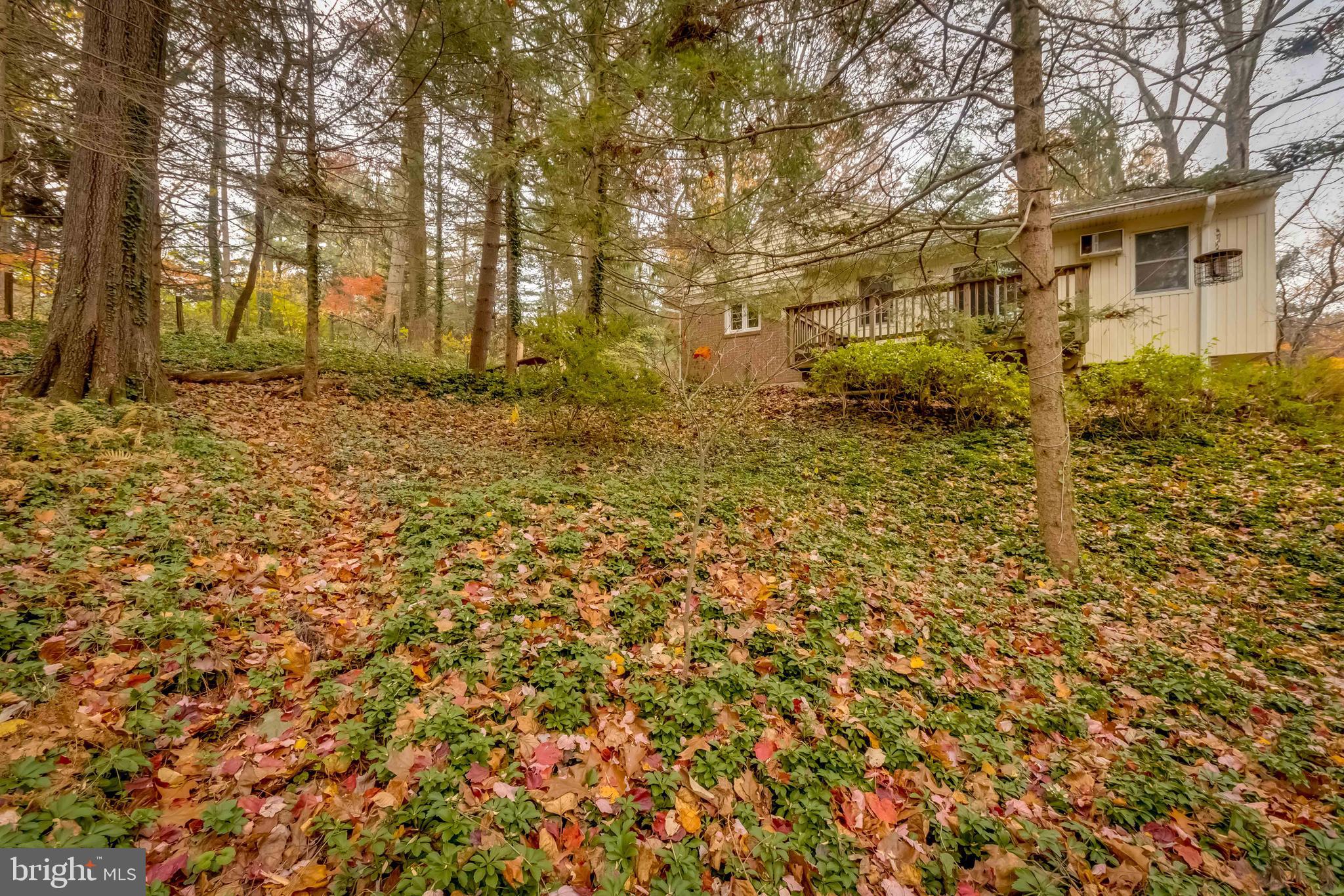 1917 Crouse Road Forest Hill, MD 21050 - Photo 61 of 68