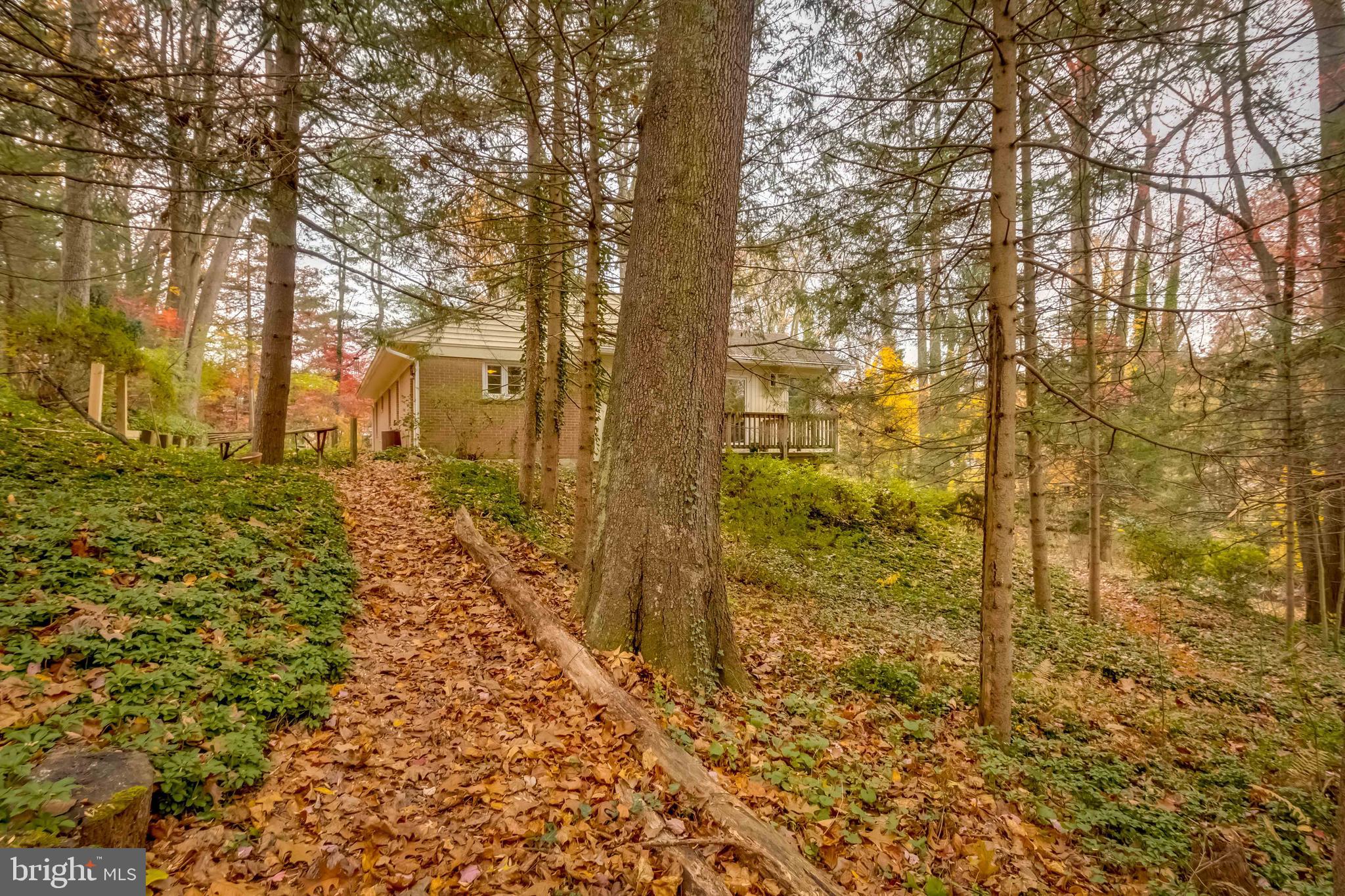 1917 Crouse Road Forest Hill, MD 21050 - Photo 63 of 68