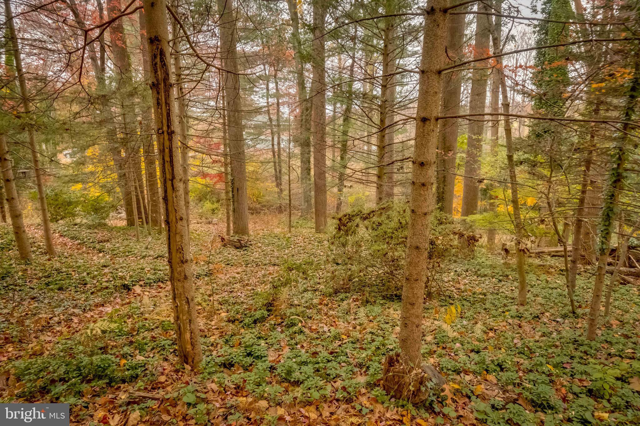 1917 Crouse Road Forest Hill, MD 21050 - Photo 65 of 68