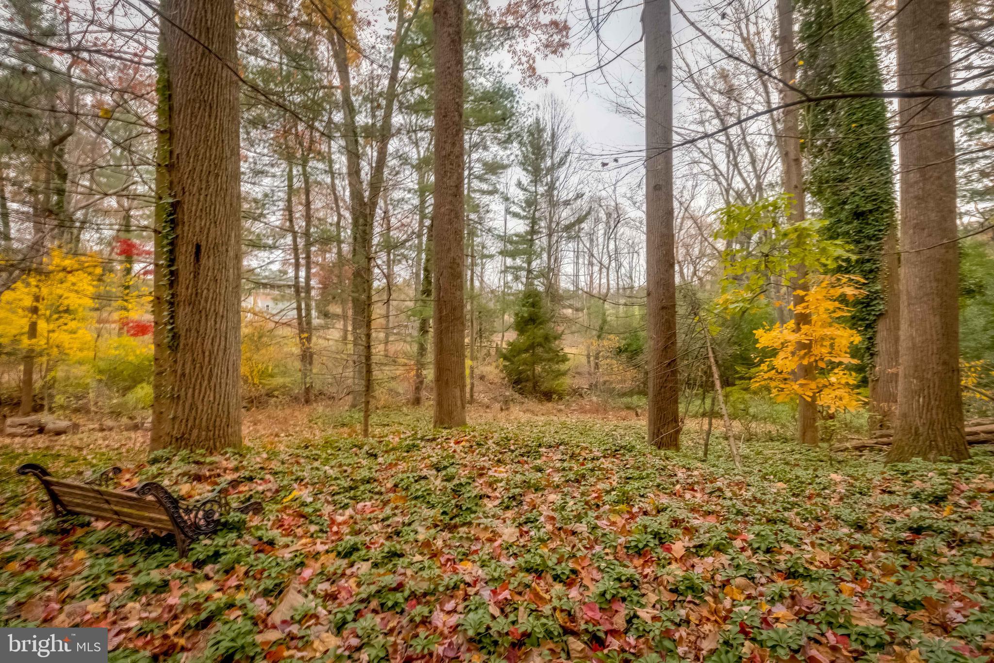 1917 Crouse Road Forest Hill, MD 21050 - Photo 67 of 68