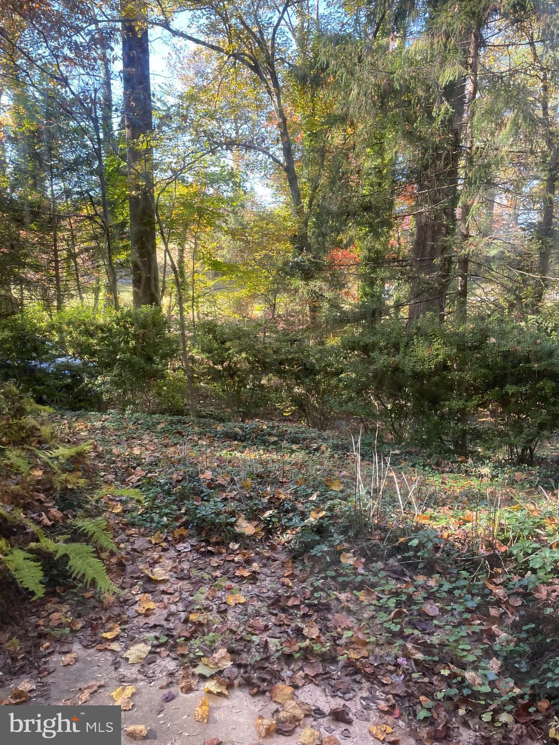1917 Crouse Road Forest Hill, MD 21050 - Photo 68 of 68