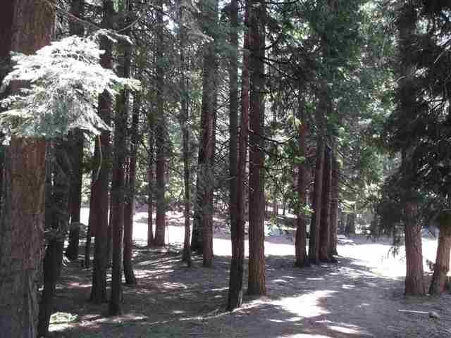 660 East Mountain Ridge Road Lake Almanor, CA 96137 - Photo 1 of 3
