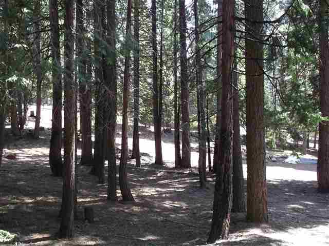 660 East Mountain Ridge Road Lake Almanor, CA 96137 - Photo 2 of 3