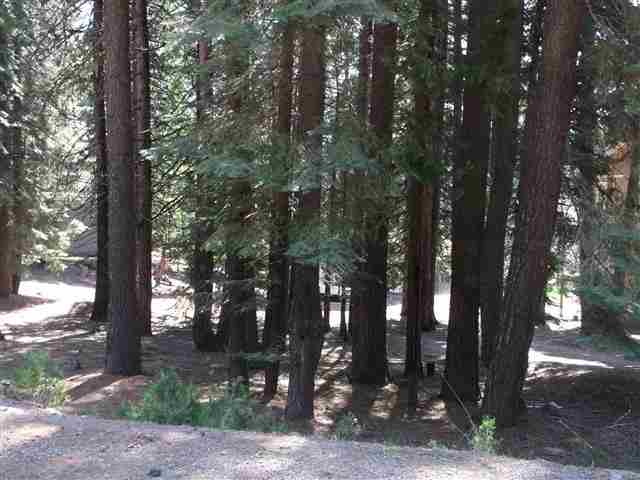 660 East Mountain Ridge Road Lake Almanor, CA 96137 - Photo 3 of 3