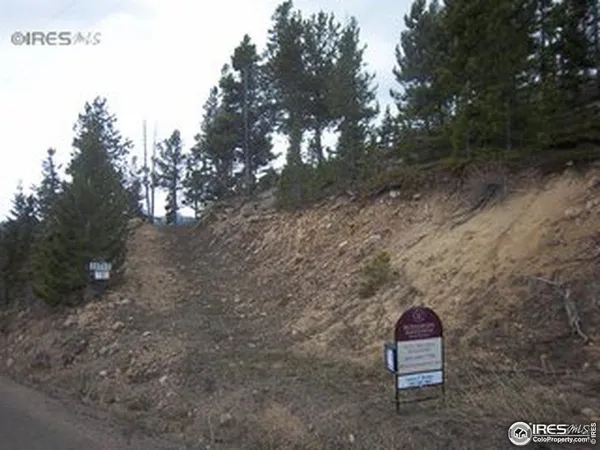 a view of a dry yard with trees