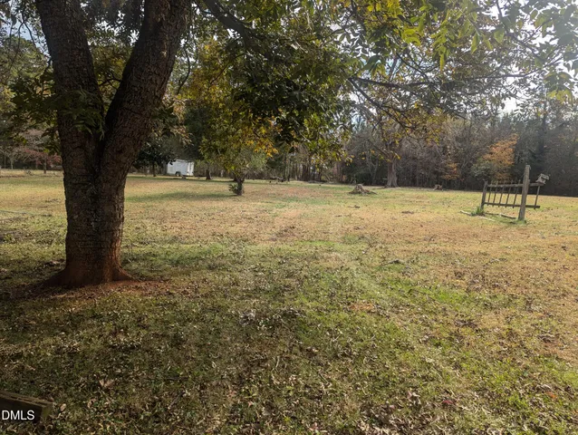 a view of yard with tree