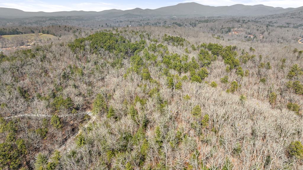 a view of a dry field with mountains in the background