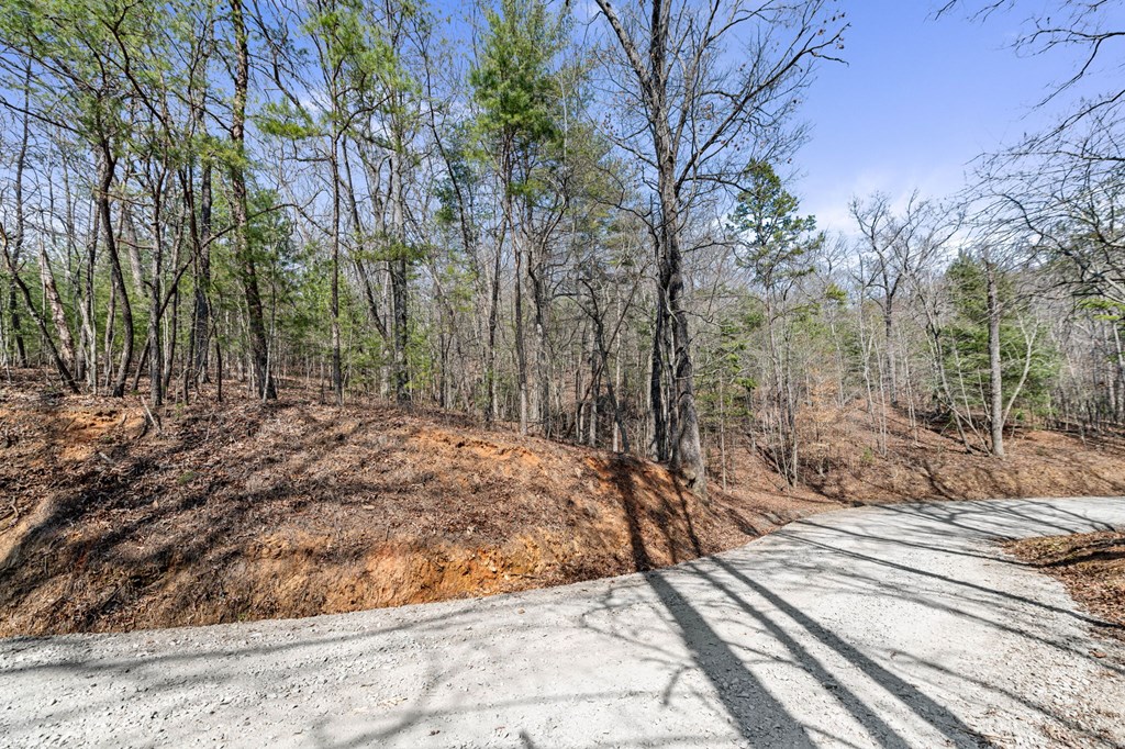 3 Old Mill Road Mineral Bluff, GA 30559 - Photo 11 of 45 a view of a backyard of the house
