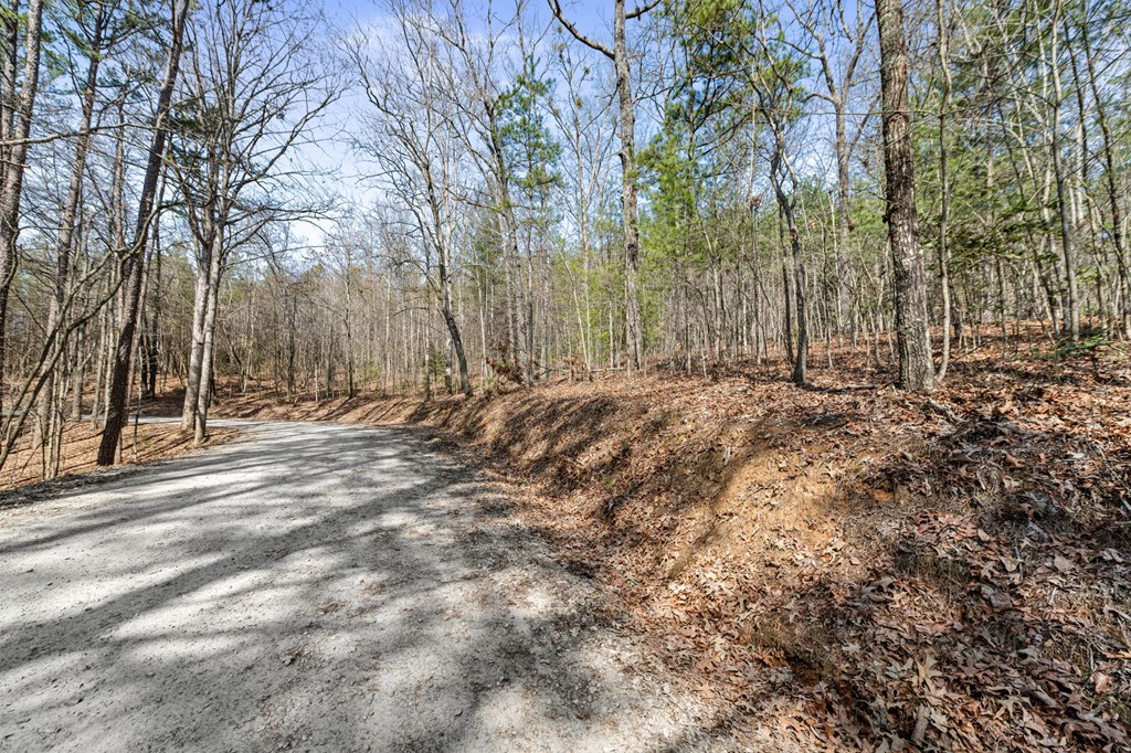 3 Old Mill Road Mineral Bluff, GA 30559 - Photo 12 of 45 a view of dirt field with trees in the background