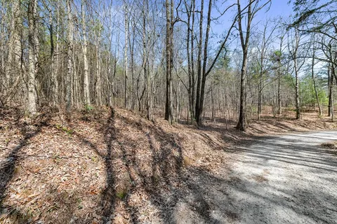 a view of covered with side of trees