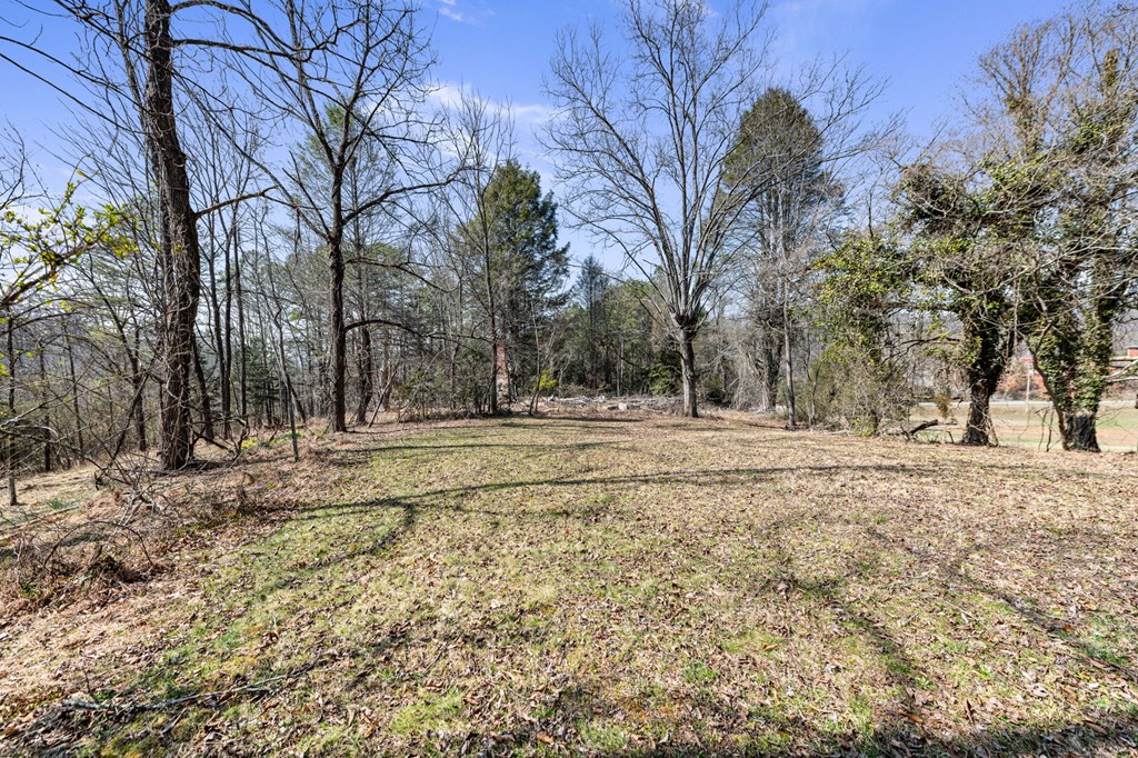3 Old Mill Road Mineral Bluff, GA 30559 - Photo 15 of 45 a view of outdoor space with trees