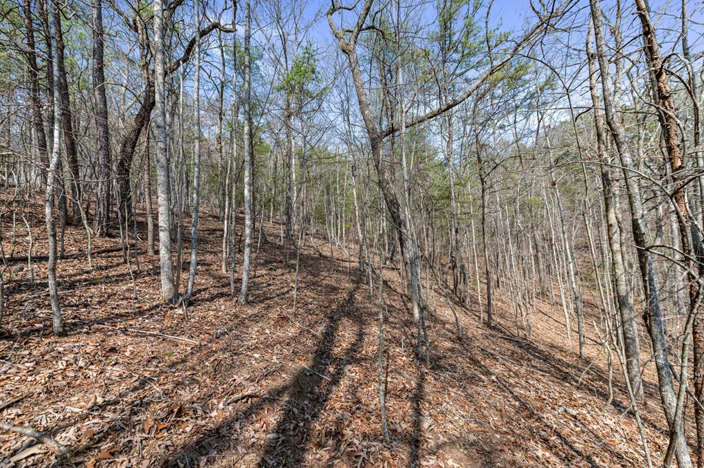 3 Old Mill Road Mineral Bluff, GA 30559 - Photo 17 of 45 a view of outdoor space with green space