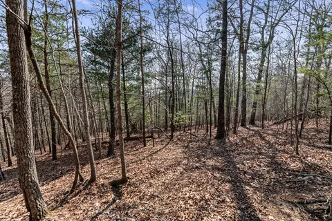 a view of outdoor space with lots of trees