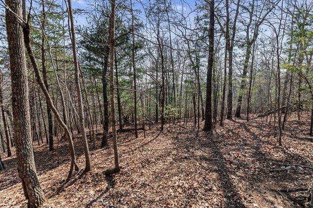 a view of outdoor space with lots of trees
