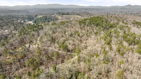 a view of a lush green forest with lush green forest