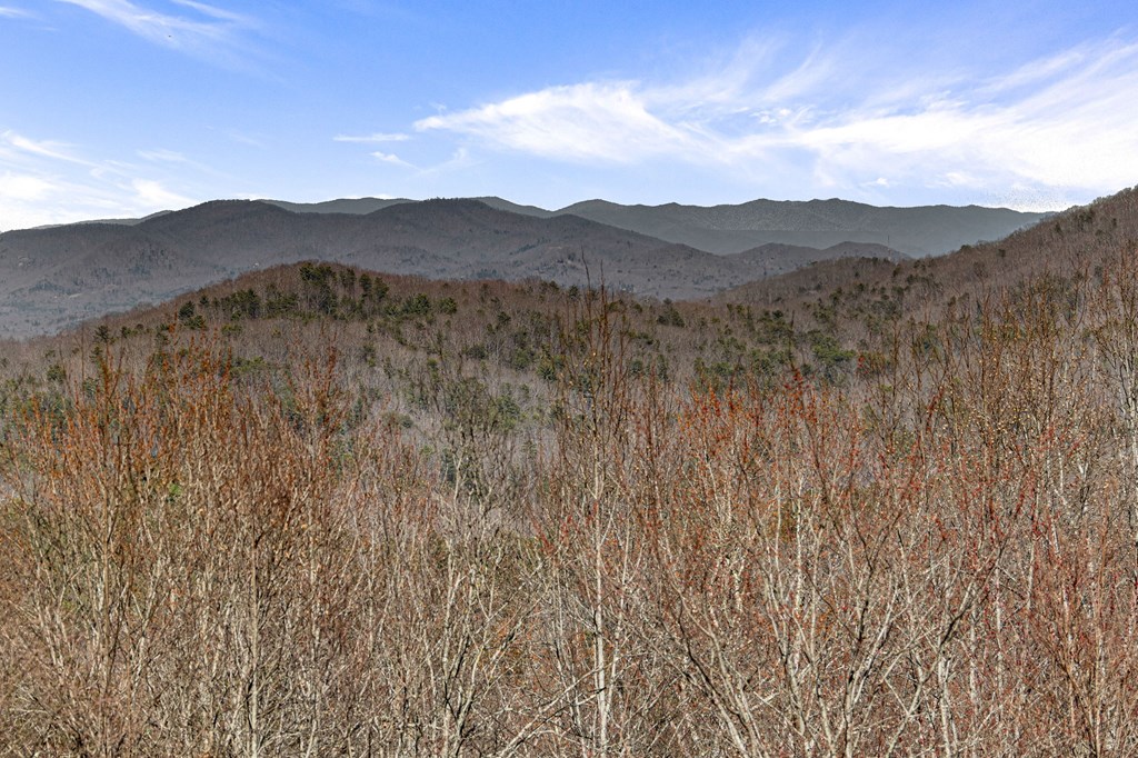 3 Old Mill Road Mineral Bluff, GA 30559 - Photo 22 of 45 a view of a town with mountains in the background
