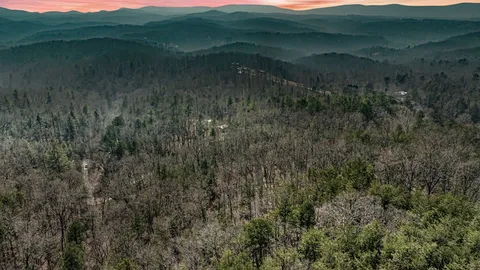 a view of a lush green field