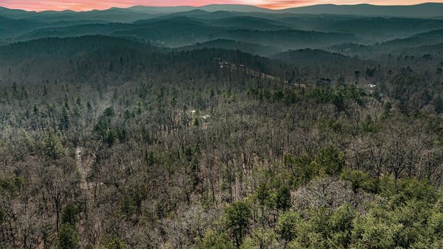a view of a lush green field