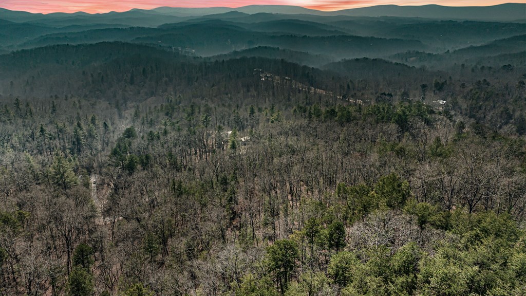 3 Old Mill Road Mineral Bluff, GA 30559 - Photo 23 of 45 a view of a lush green field